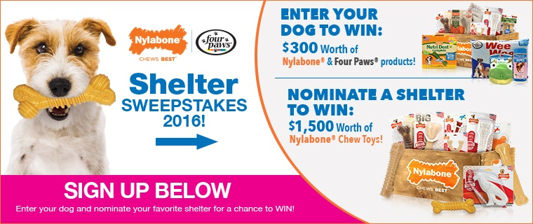 Ener the Nylabone and Four Paws Shelter Sweepstakes