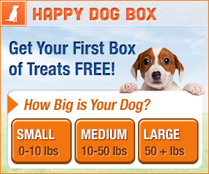 happy dog box